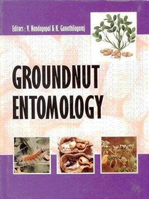 cover image of Groundnut Entomology